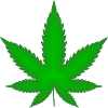 Marijuana leaf