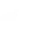 Evolution Western