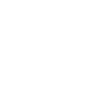 STEUERFAHNDER