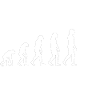 attorneys