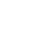 Artist / artist