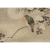 Asian bird