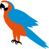 Parrot