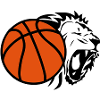 ball basketball lion