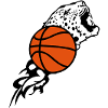ball basketball tiger flamme1