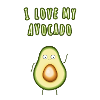I love avocado gift