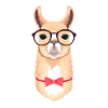Alpaca Hipster Vector Illustration