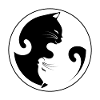 Ying Yang chat
