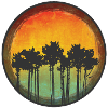 Pines on a dune