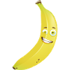 banana fruit010