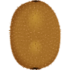 kiwi fruit018