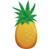 pineapple fruit013