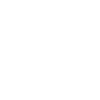 FAST LIFE