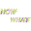 NOW WHAT ?!
