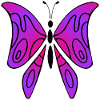 Papillon rose et pourpre