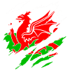Ripped shirt welsh