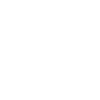 gun