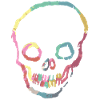 skull
