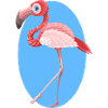 flamingo
