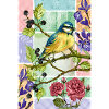 Titmouse in the garden