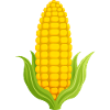 mais maiskolben gemüse001