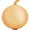 onion vegetable0200