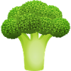 broccoli vegetable008