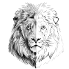Un lion dessiné intéressant