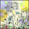 Dandelions in the meadow