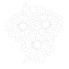 Flower Power Design (police blanche)