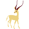 Gazelle