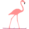 Flamingo skis