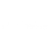 Boat Evolution