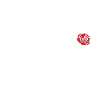 FILIGRAN TUXEDO TUXEDO SUIT SHIRT