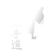 Mawashi Geri
