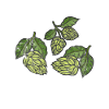 hop