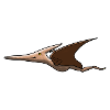 Pteranodon