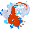 Koi Carp