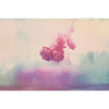 Ink Coloure 2