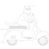 Cool cat on a scooter