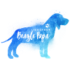 Liebender Beagle Papa