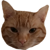 Cat's head red