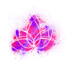 Lotus flower Purple red powder