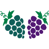 Grapes fruits -1