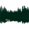 Canoe Forest