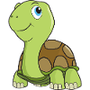 Tortoise turtle