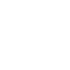 Bicycle Skull
