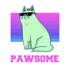 Cat - Sunglasses - Cool - Kitten - Paw