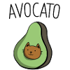 avocado