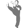 Ving Tsun Sifu uni